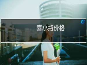 喜小瓶价格
