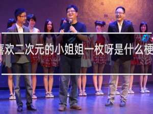 喜欢二次元的小姐姐一枚呀是什么梗什么梗