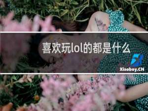 喜欢玩lol的都是什么人