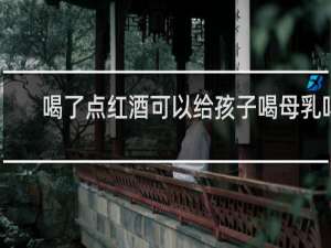 喝了点红酒可以给孩子喝母乳吗
