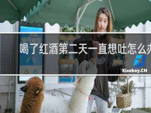 喝了红酒第二天一直想吐怎么办