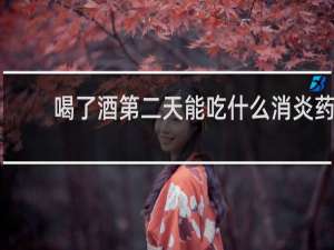 喝了酒第二天能吃什么消炎药