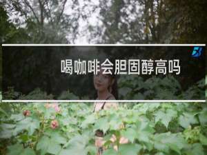 喝咖啡会胆固醇高吗