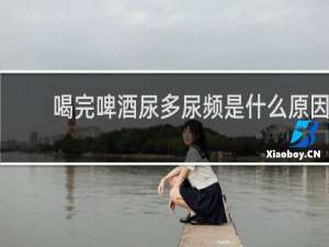 喝完啤酒尿多尿频是什么原因