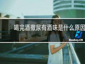 喝完酒撒尿有酒味是什么原因