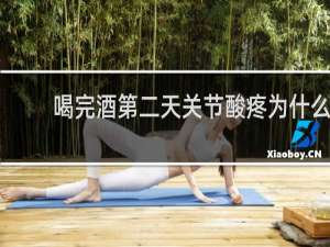 喝完酒第二天关节酸疼为什么