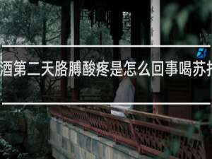 喝完酒第二天胳膊酸疼是怎么回事喝苏打水有用吗