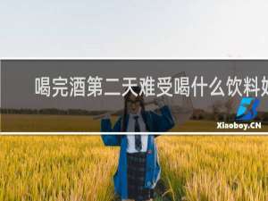 喝完酒第二天难受喝什么饮料好