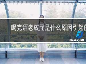 喝完酒老放屁是什么原因引起的