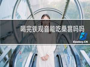 喝完铁观音能吃桑葚吗吗