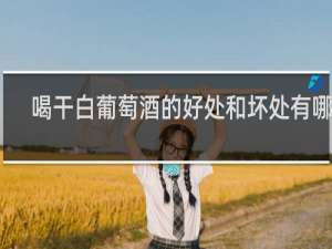 喝干白葡萄酒的好处和坏处有哪些