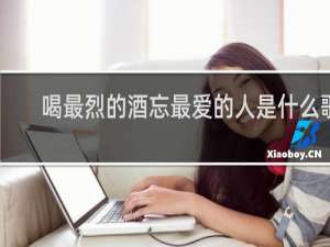 喝最烈的酒忘最爱的人是什么歌