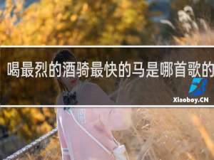 喝最烈的酒骑最快的马是哪首歌的歌词