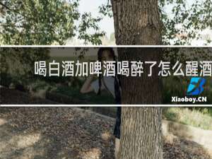 喝白酒加啤酒喝醉了怎么醒酒
