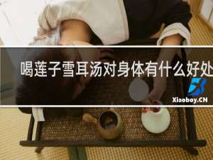 喝莲子雪耳汤对身体有什么好处啊