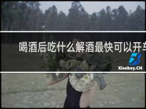 喝酒后吃什么解酒最快可以开车