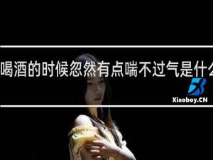 喝酒的时候忽然有点喘不过气是什么原因