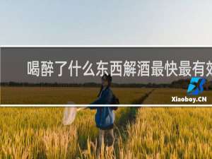 喝醉了什么东西解酒最快最有效