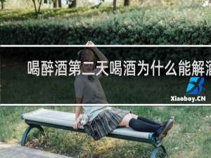 喝醉酒第二天喝酒为什么能解酒