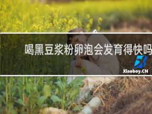 喝黑豆浆粉卵泡会发育得快吗