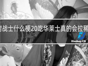 喷射战士什么梗 吃华莱士真的会拉稀吗什么梗