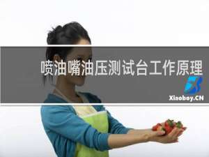 喷油嘴油压测试台工作原理