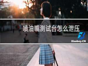 喷油嘴测试台怎么泄压