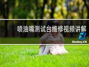 喷油嘴测试台维修视频讲解