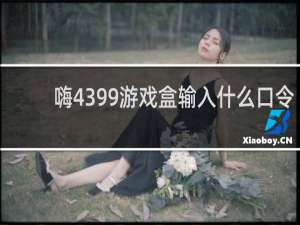 嗨4399游戏盒输入什么口令