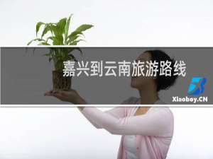 嘉兴到云南旅游路线