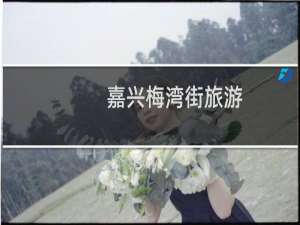 嘉兴梅湾街旅游