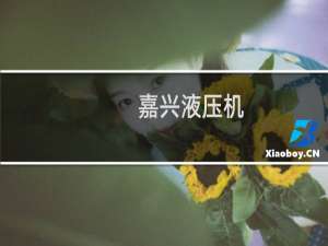 嘉兴液压机