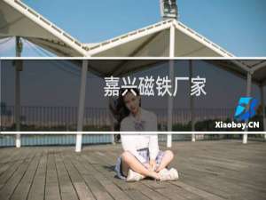 嘉兴磁铁厂家