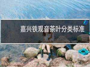 嘉兴铁观音茶叶分类标准
