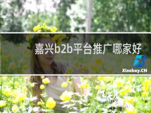 嘉兴b2b平台推广哪家好