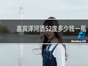 嘉宾洋河酒52度多少钱一瓶