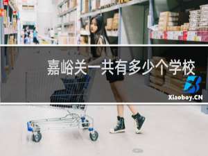 嘉峪关一共有多少个学校