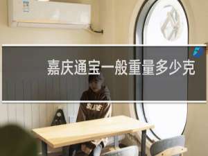 嘉庆通宝一般重量多少克