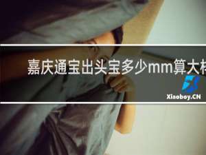 嘉庆通宝出头宝多少mm算大样