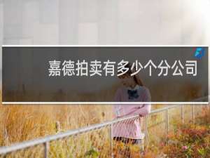嘉德拍卖有多少个分公司