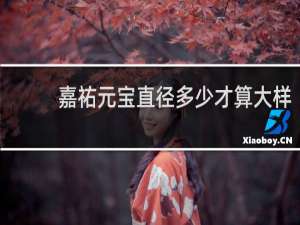 嘉祐元宝直径多少才算大样