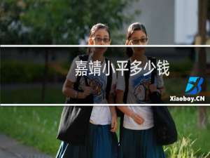 嘉靖小平多少钱