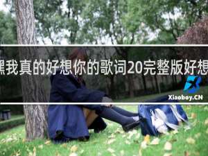 嘿我真的好想你的歌词 完整版好想你歌词