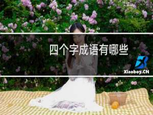 四个字成语有哪些