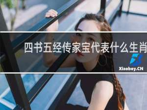 四书五经传家宝代表什么生肖
