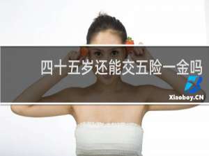 四十五岁还能交五险一金吗