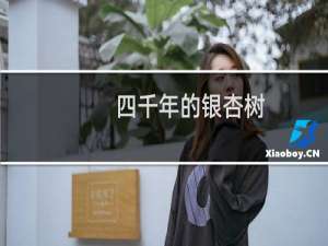 四千年的银杏树
