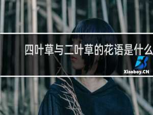 四叶草与二叶草的花语是什么