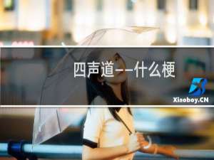 四声道——什么梗