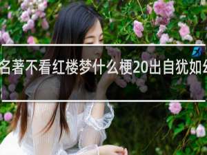 四大名著不看红楼梦什么梗 出自犹如幻翳什么梗